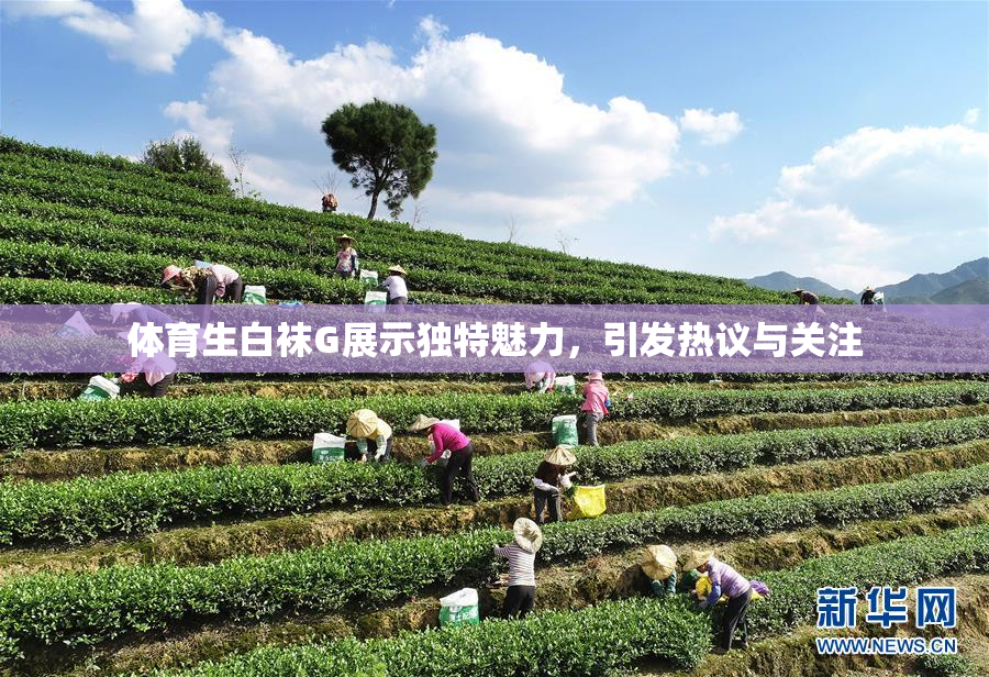 体育生白袜G展示独特魅力，引发热议与关注