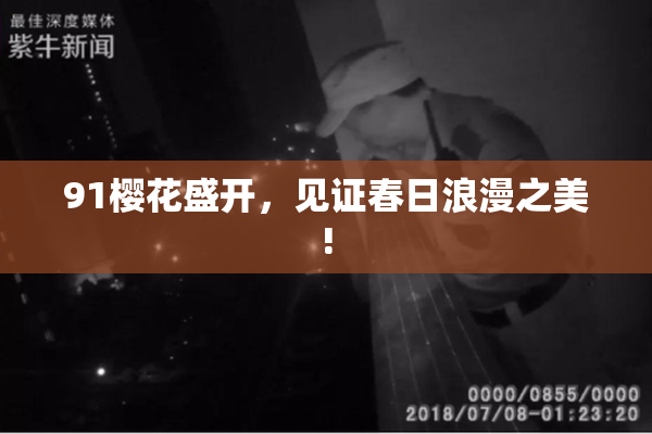 91樱花盛开，见证春日浪漫之美!