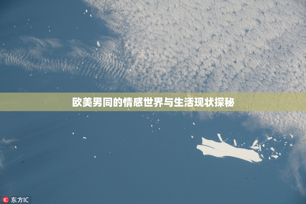 欧美男同的情感世界与生活现状探秘