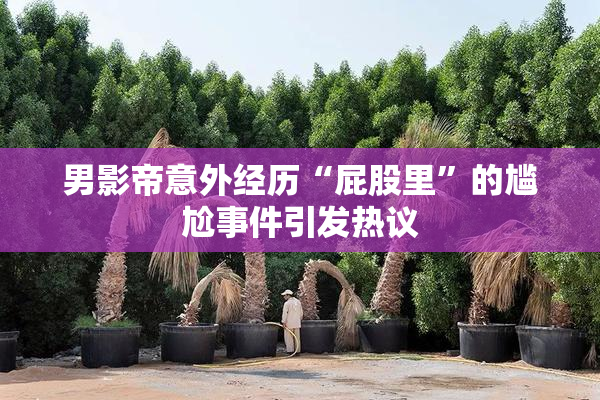 男影帝意外经历“屁股里”的尴尬事件引发热议