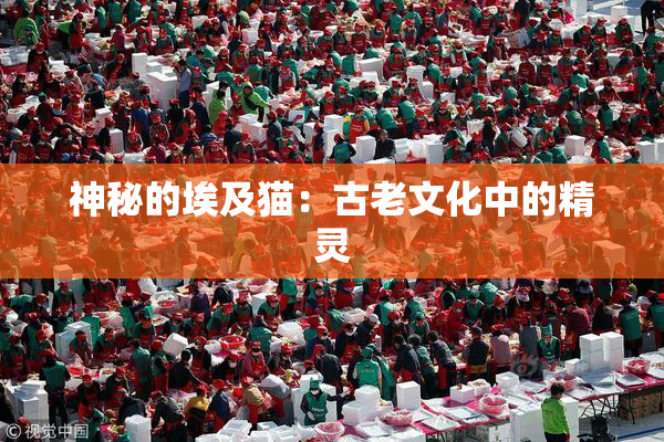 神秘的埃及猫：古老文化中的精灵
