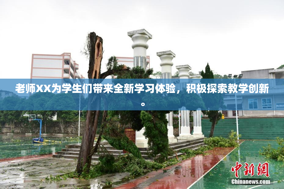 老师XX为学生们带来全新学习体验，积极探索教学创新。