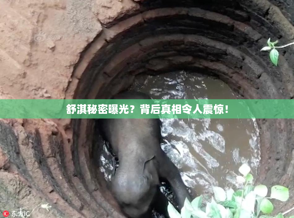 舒淇秘密曝光？背后真相令人震惊！