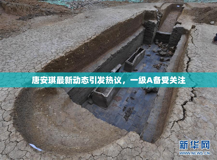 唐安琪最新动态引发热议，一级A备受关注