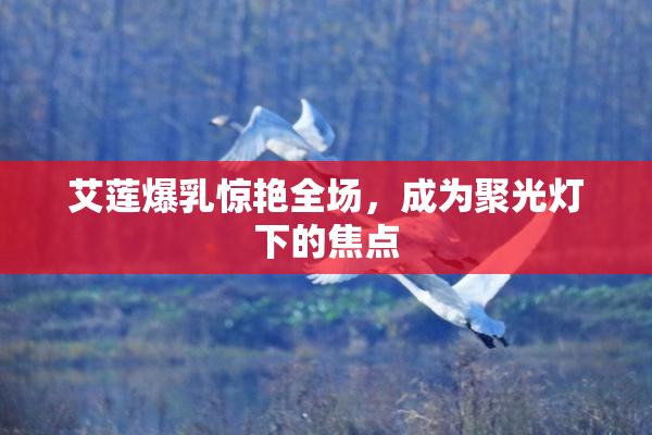 艾莲爆乳惊艳全场，成为聚光灯下的焦点
