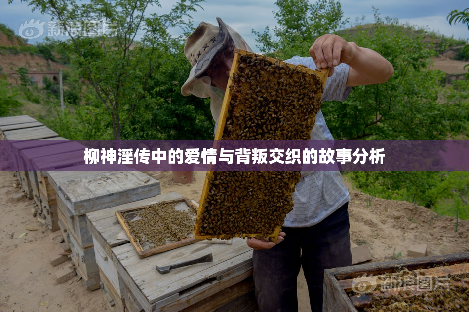 柳神淫传中的爱情与背叛交织的故事分析