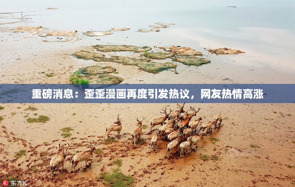 重磅消息：歪歪漫画再度引发热议，网友热情高涨
