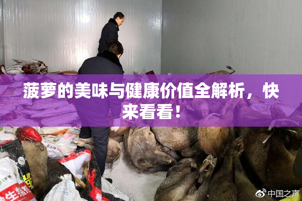 菠萝的美味与健康价值全解析，快来看看！