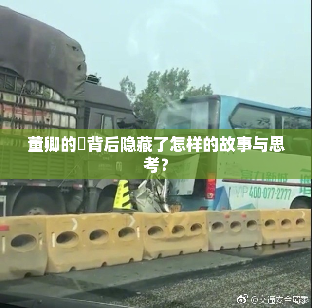 董卿的婬背后隐藏了怎样的故事与思考？