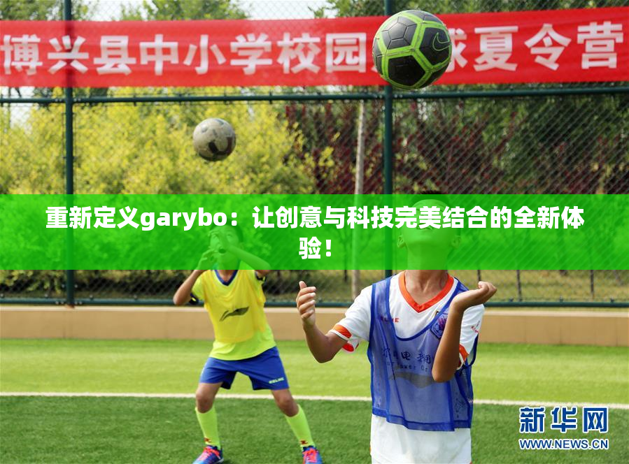 重新定义garybo：让创意与科技完美结合的全新体验！