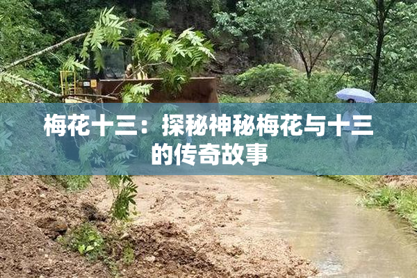 梅花十三：探秘神秘梅花与十三的传奇故事