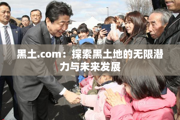 黑土.com：探索黑土地的无限潜力与未来发展