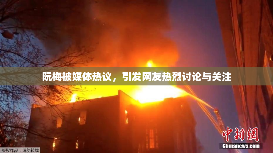 阮梅被媒体热议，引发网友热烈讨论与关注