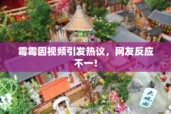 霉霉因视频引发热议，网友反应不一！