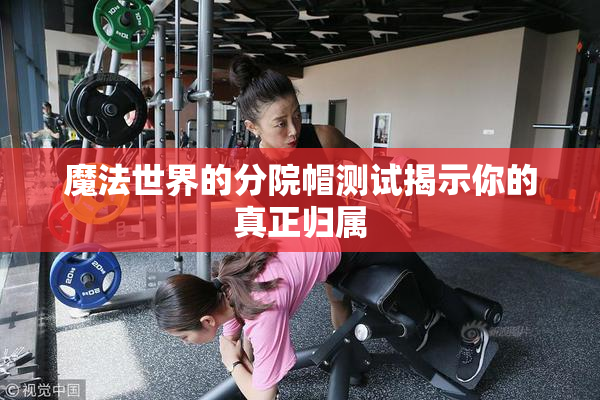 魔法世界的分院帽测试揭示你的真正归属