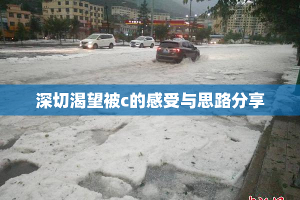 深切渴望被c的感受与思路分享