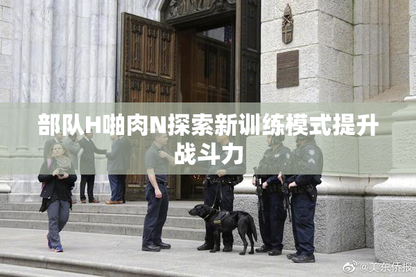 部队H啪肉N探索新训练模式提升战斗力