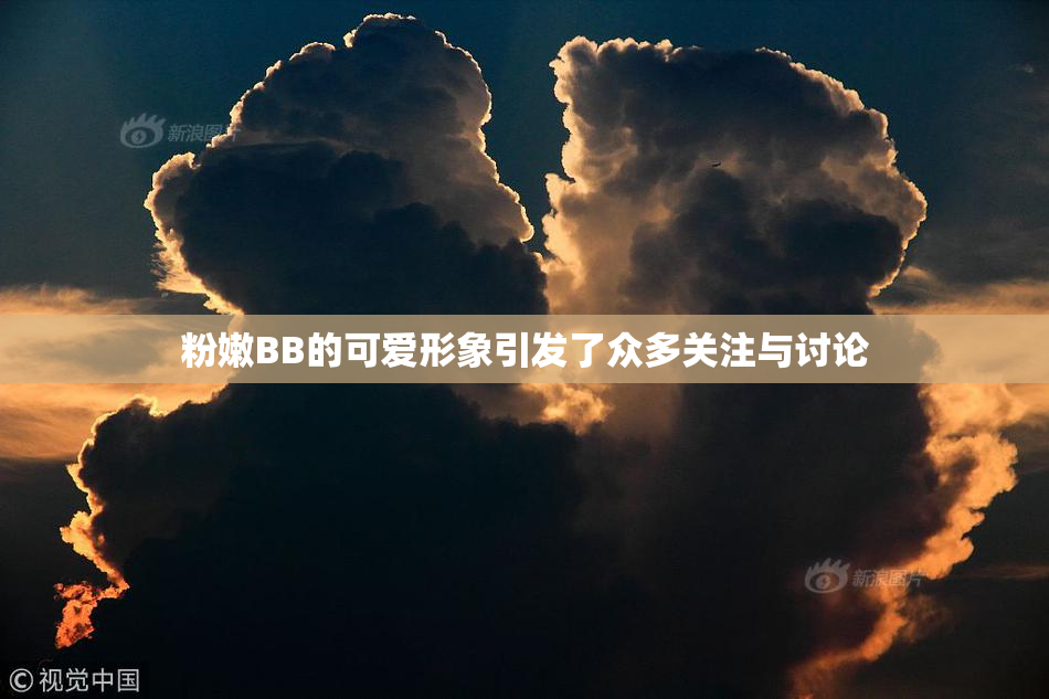 粉嫩BB的可爱形象引发了众多关注与讨论