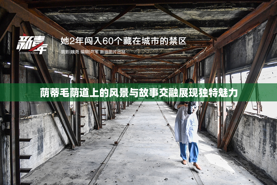 荫蒂毛荫道上的风景与故事交融展现独特魅力