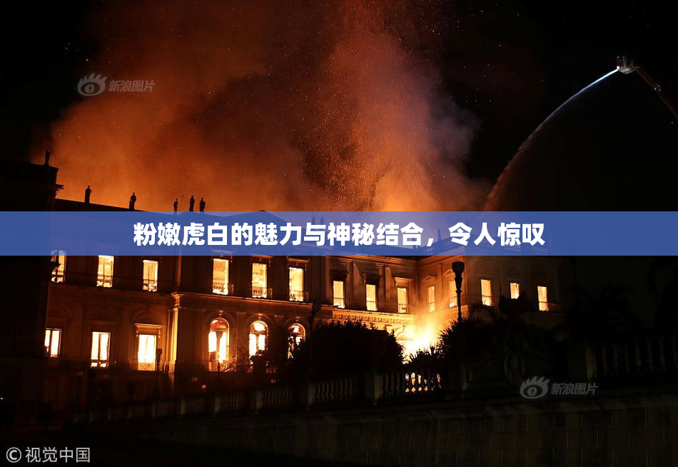 粉嫩虎白的魅力与神秘结合，令人惊叹