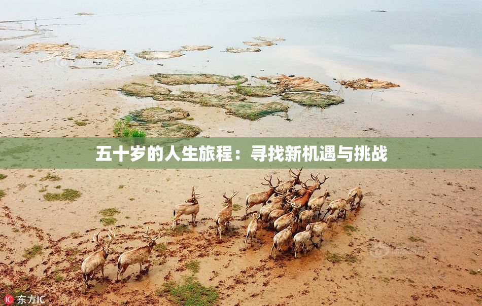 五十岁的人生旅程：寻找新机遇与挑战