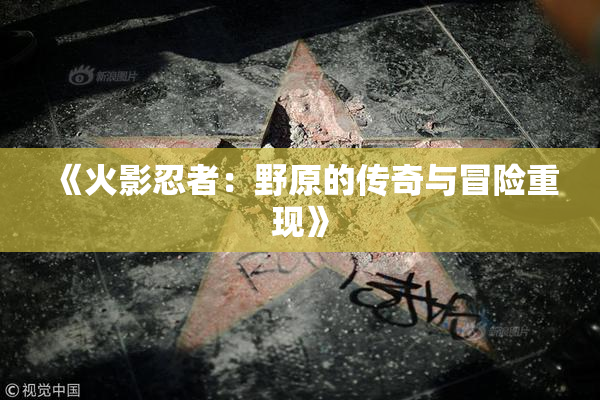 《火影忍者：野原的传奇与冒险重现》