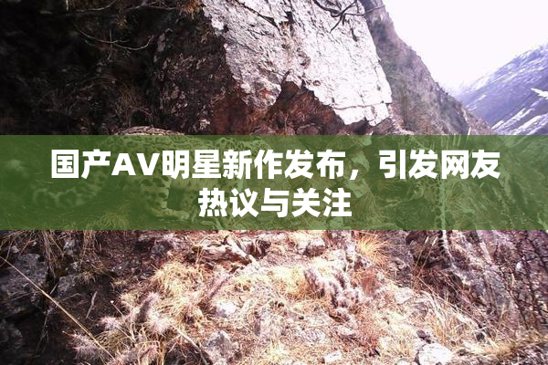 国产AV明星新作发布，引发网友热议与关注