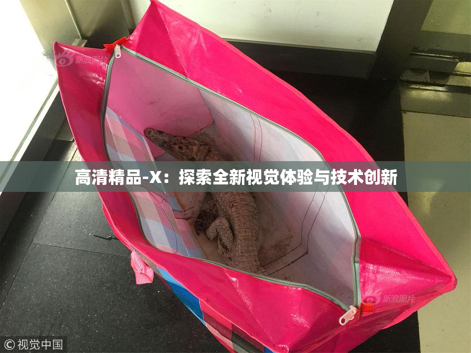 高清精品-X：探索全新视觉体验与技术创新
