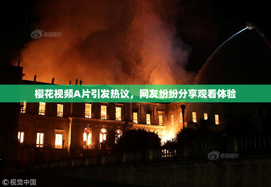 樱花视频A片引发热议，网友纷纷分享观看体验