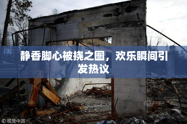 静香脚心被挠之图，欢乐瞬间引发热议