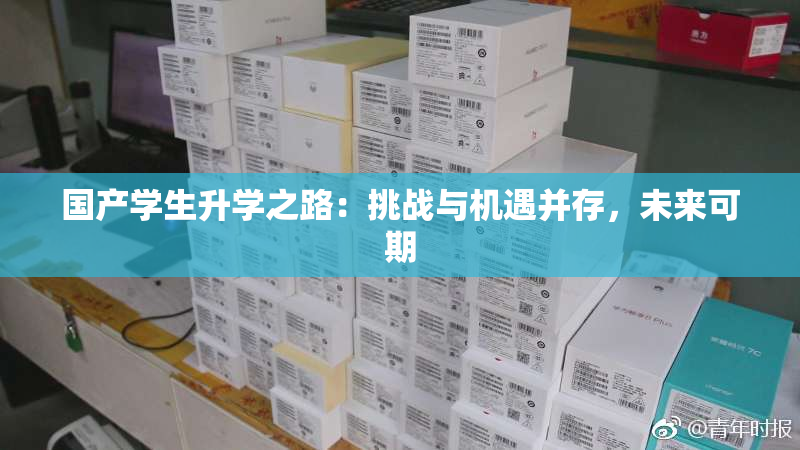国产学生升学之路：挑战与机遇并存，未来可期