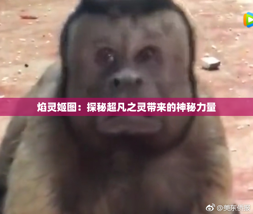 焰灵姬图：探秘超凡之灵带来的神秘力量