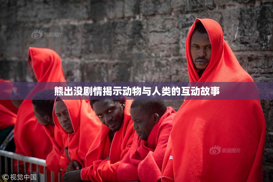 熊出没剧情揭示动物与人类的互动故事