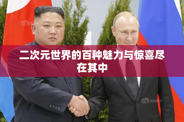 二次元世界的百种魅力与惊喜尽在其中