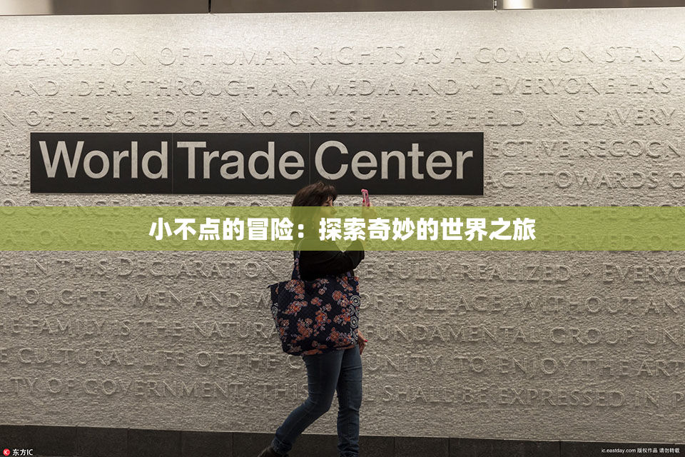 小不点的冒险：探索奇妙的世界之旅