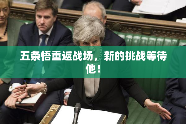 五条悟重返战场，新的挑战等待他！