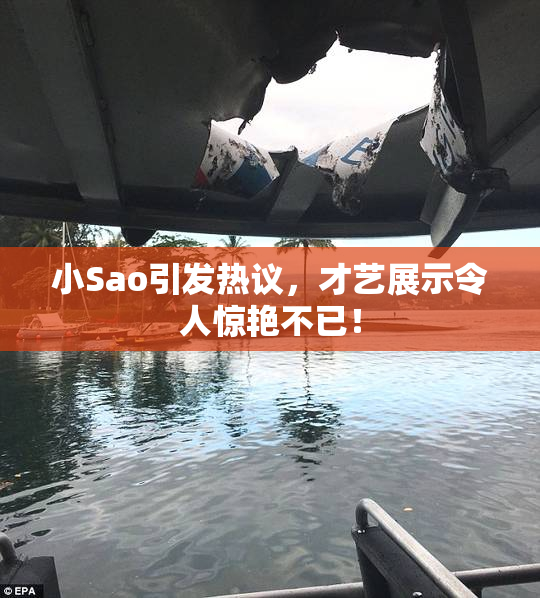 小Sao引发热议，才艺展示令人惊艳不已！