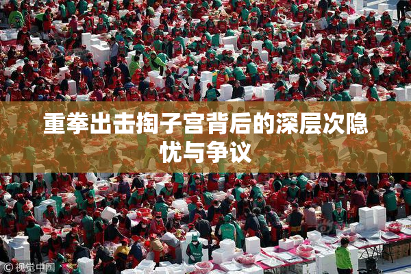 重拳出击掏子宫背后的深层次隐忧与争议