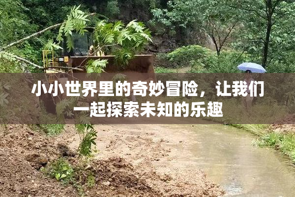 小小世界里的奇妙冒险，让我们一起探索未知的乐趣