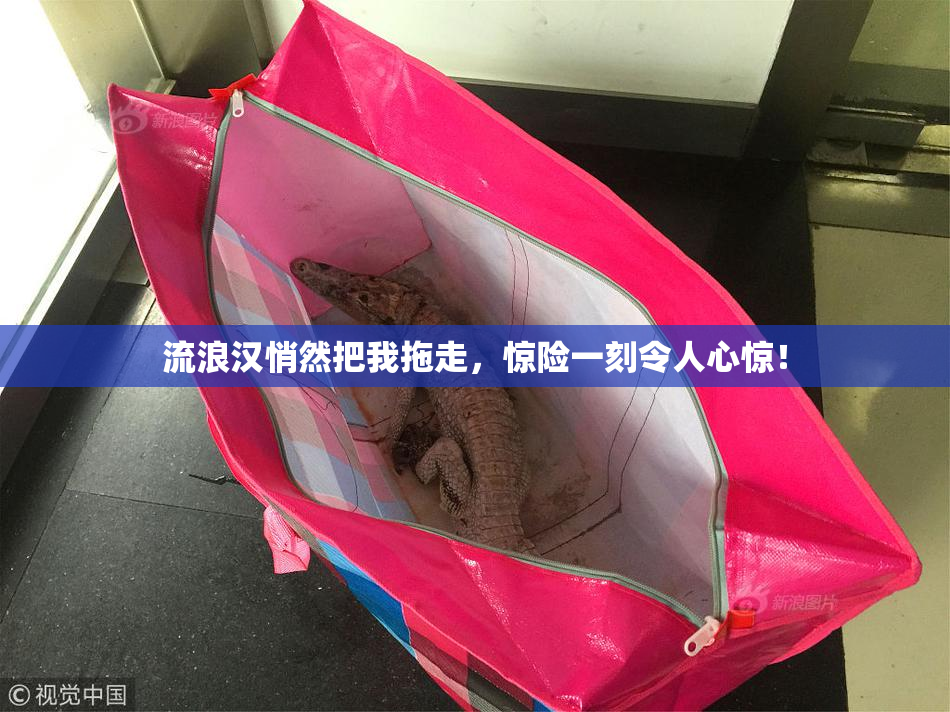 流浪汉悄然把我拖走，惊险一刻令人心惊！