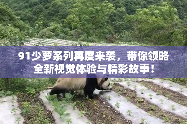 91少萝系列再度来袭，带你领略全新视觉体验与精彩故事！
