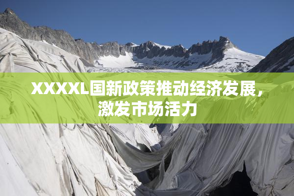 XXXXL国新政策推动经济发展，激发市场活力