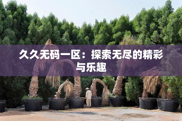 久久无码一区：探索无尽的精彩与乐趣