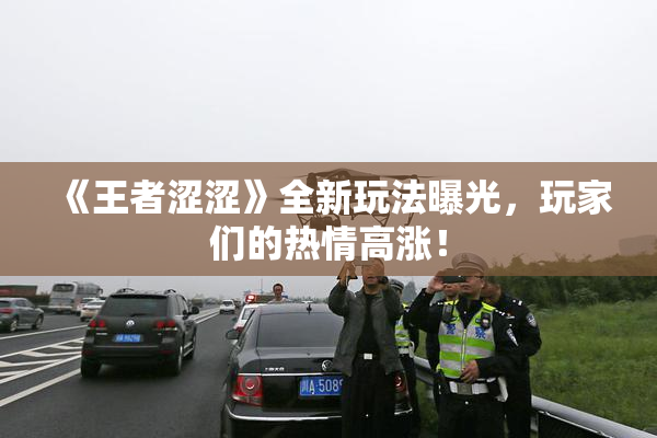 《王者涩涩》全新玩法曝光，玩家们的热情高涨！