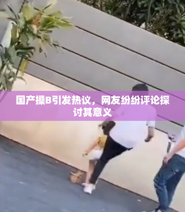 国产搡B引发热议，网友纷纷评论探讨其意义