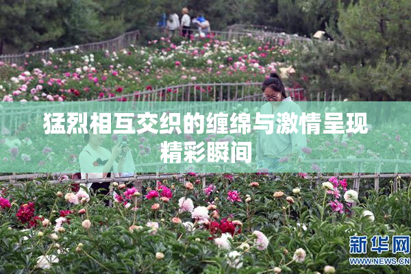 猛烈相互交织的缠绵与激情呈现精彩瞬间