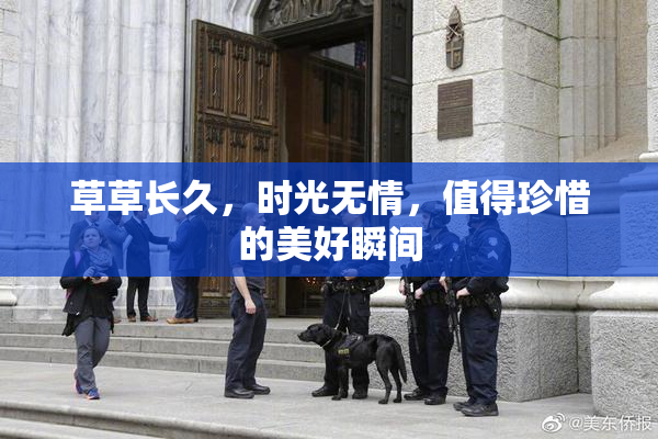 草草长久，时光无情，值得珍惜的美好瞬间