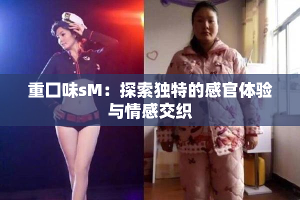 重囗味sM：探索独特的感官体验与情感交织