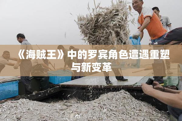 《海贼王》中的罗宾角色遭遇重塑与新变革
