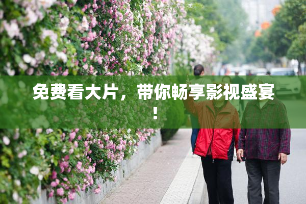免费看大片，带你畅享影视盛宴！